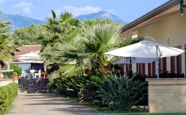 Фото отеля Hotel Heracles Village