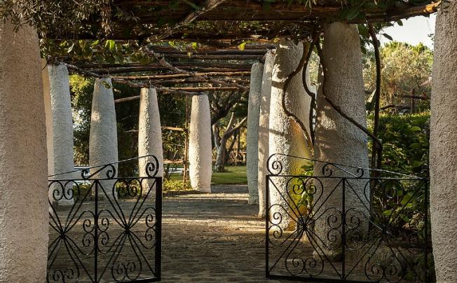 Фото отеля Villa degli ulivi