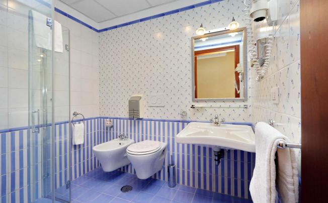 Фото отеля Camelia Hotel