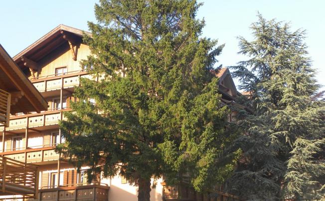 Фото отеля Serrada Residence