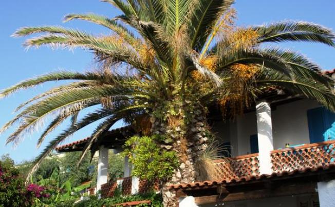 Фото отеля Hotel Villaggio Stromboli