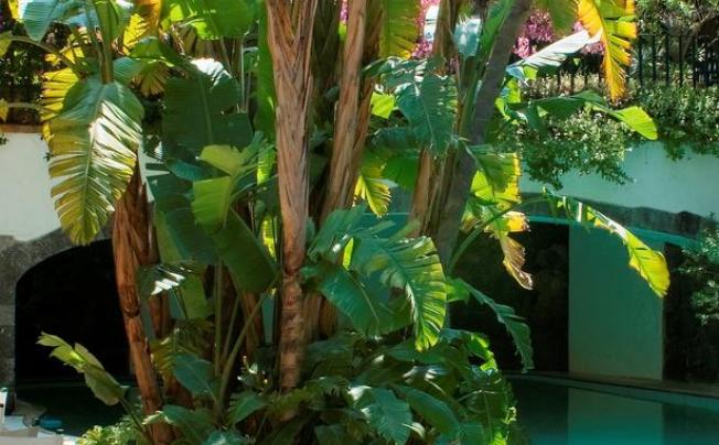 Фото отеля La villarosa terme