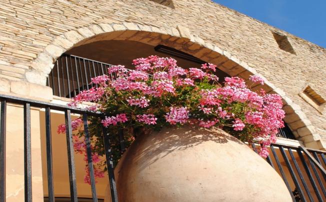 Фото отеля Hotel Costa Dei Fiori