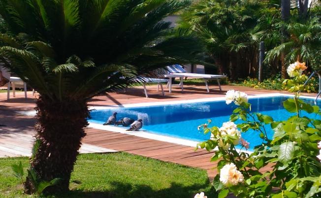 Фото отеля Albatros Hotel Terracina