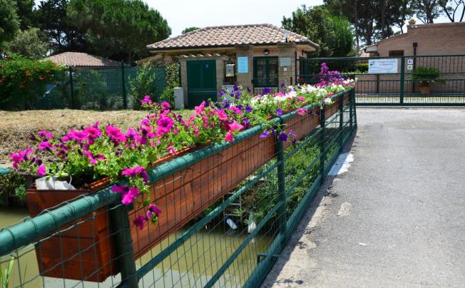 Фото отеля La Madonnina Village Resort