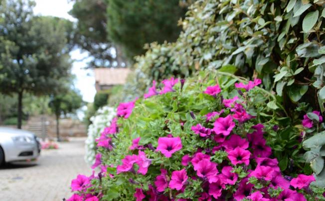 Фото отеля La Madonnina Village Resort
