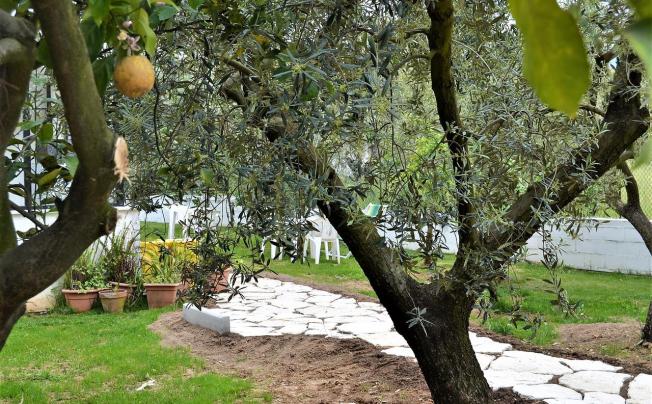 Фото отеля Il Girasole Guest House