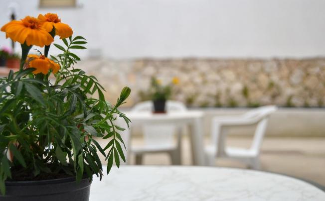 Фото отеля Il Girasole Guest House