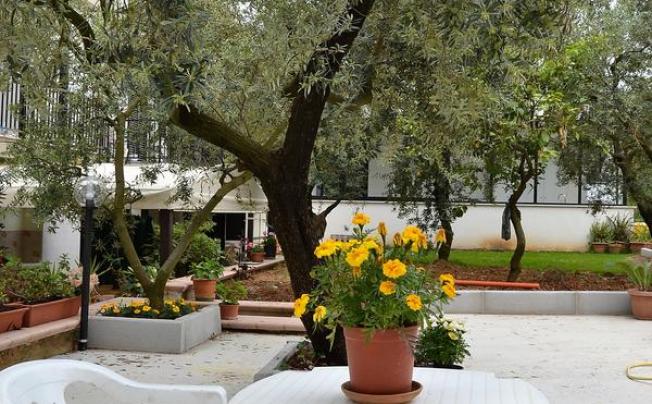 Фото отеля Il Girasole Guest House