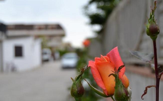 Фото отеля Il Girasole Guest House