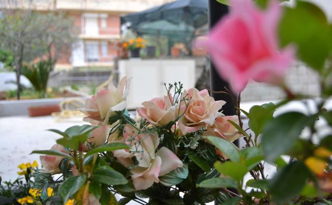 Фото отеля Il Girasole Guest House