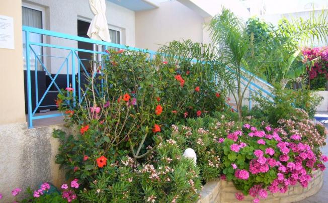 Фото отеля Blue Oasis Gardens Apartment
