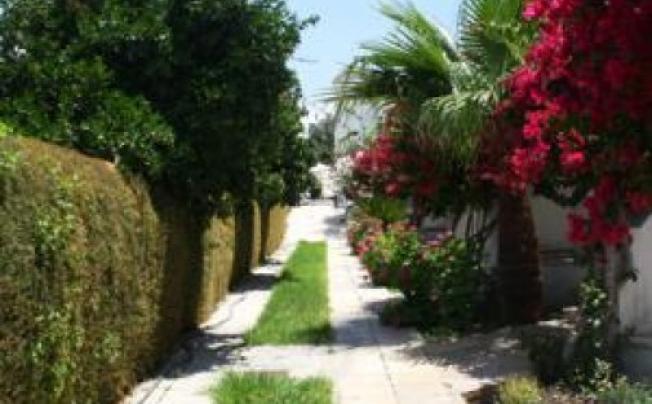 Фото отеля Bougainvillea Hotel Apartments