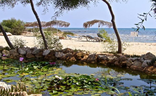 Фото отеля Thalassines beach Villas