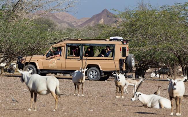 Фото отеля Anantara Sir Bani Yas Island Al Yamm Villa Resort