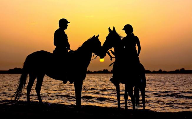 Фото отеля Anantara Sir Bani Yas Island Al Sahel Villas