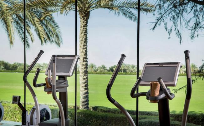 Фото отеля Melia Desert Palm Dubai