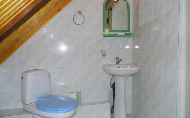 Фото отеля Старый Доктор Отель
