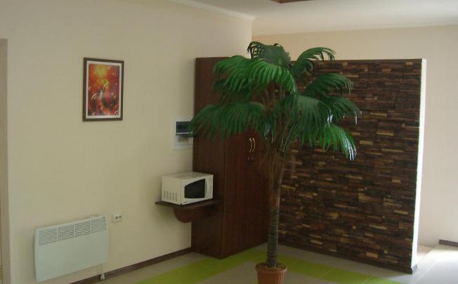 Фото отеля Mini-hotel Amelia