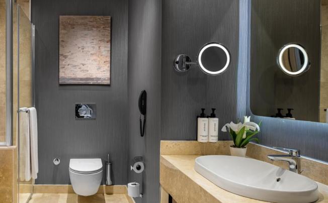 Фото отеля Crowne Plaza Istanbul Tuzla Viaport Marina
