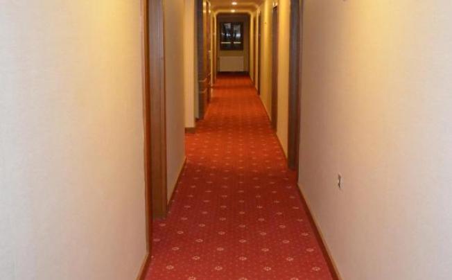 Фото отеля Snowflake Dag Hotel