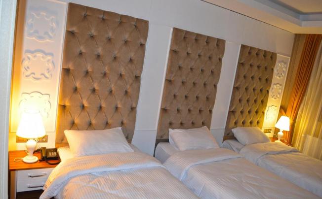 Фото отеля Snowflake Dag Hotel