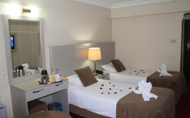 Фото отеля Buyuk Sahinler Hotel