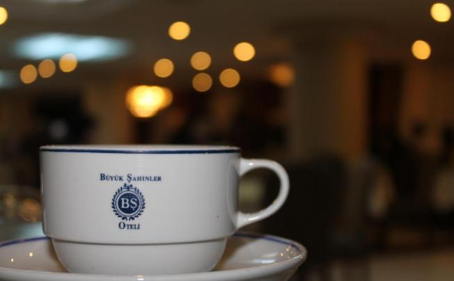 Фото отеля Buyuk Sahinler Hotel