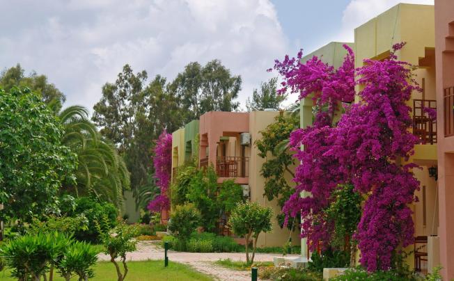 Фото отеля Von Resort Golden Beach