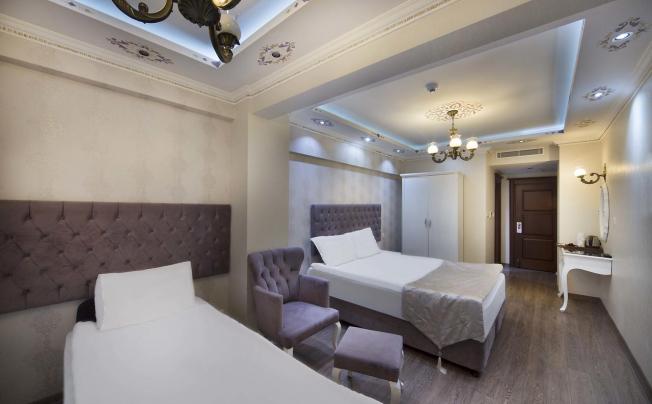 Фото отеля world heritage hotel istanbul