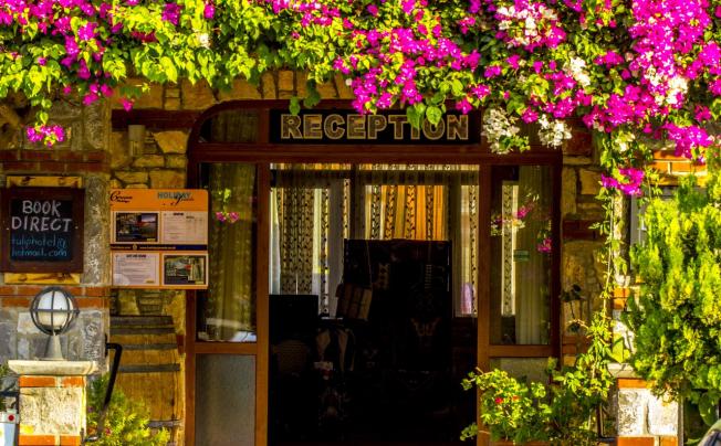 Фото отеля Magic Tulip Beach hotel