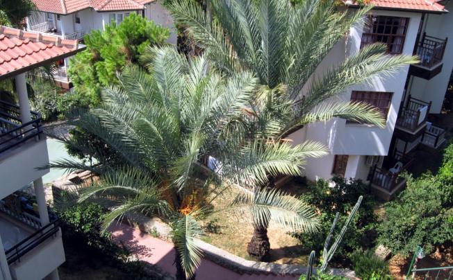 Фото отеля CLUB GUNES GARDEN