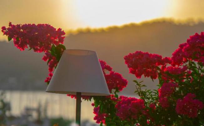 Фото отеля UNIQUE BOUTIQUE HOTEL 