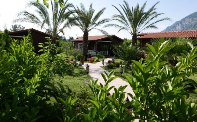 Фото отеля AIDA HOTEL