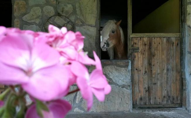 Фото отеля Oranj Ranch Hotel