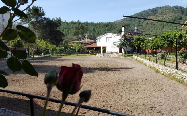 Фото отеля Oranj Ranch Hotel