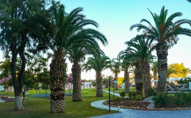 Фото отеля CLUB BEYY RESORT HOTEL