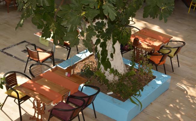 Фото отеля Kaliptus Hotel