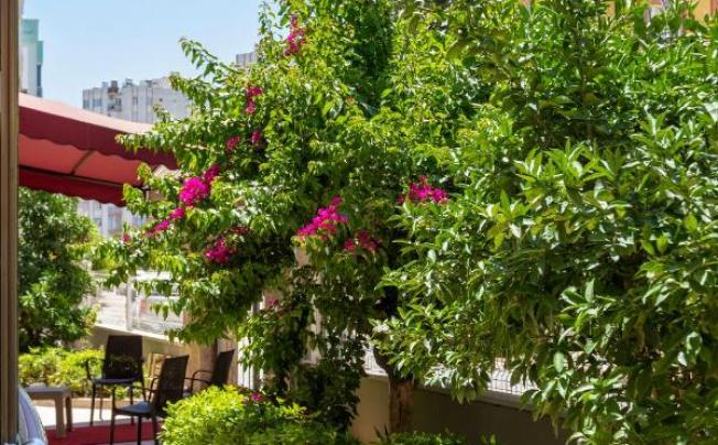 Фото отеля TOPRAK APART OTEL