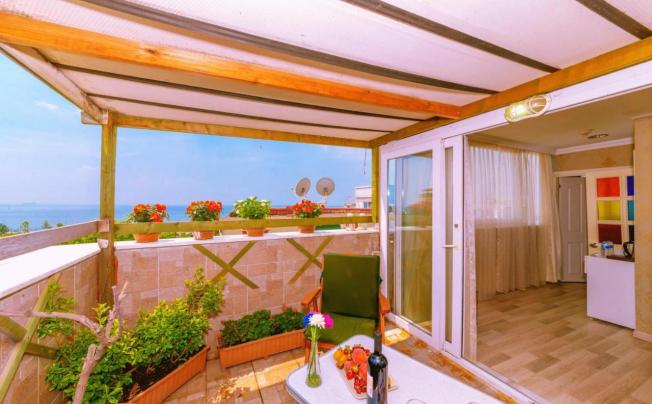 Фото отеля Walnut Shell Hotel