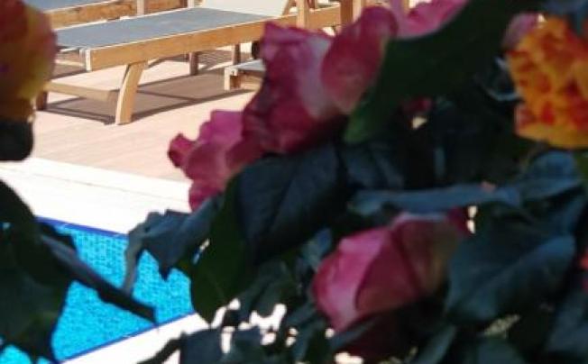 Фото отеля VINIFERA EPHESUS HOTEL 