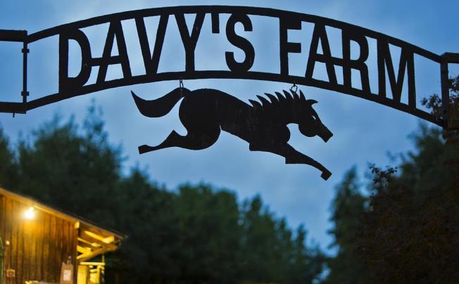 Фото отеля DAVY CROCKETT RANCH 