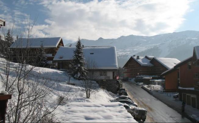 Фото отеля Apartments Meribel