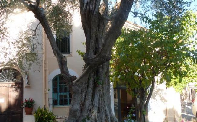 Фото отеля LA BASTIDE DE LOLIVERAIE