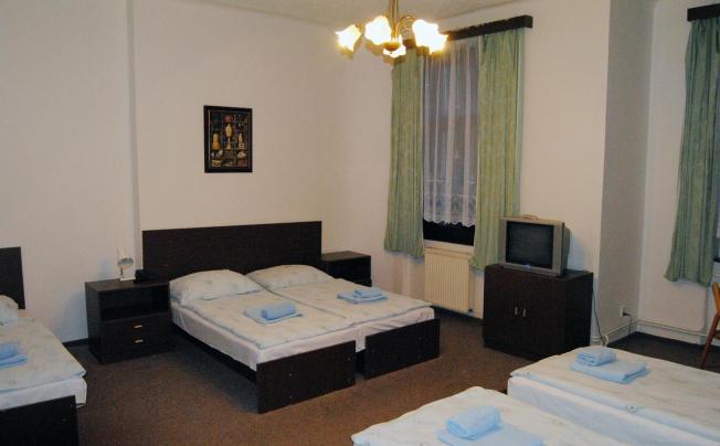 Фото отеля Olga hotel