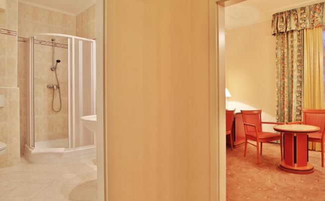 Фото отеля Villa Savoy Spa Park Hotel