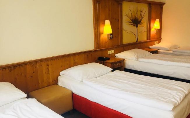 Фото отеля Branik Hotel