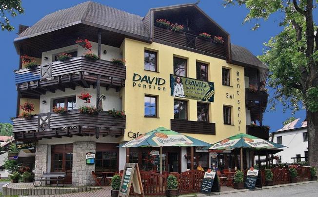 Фото отеля David Hotel Pension Harrachov