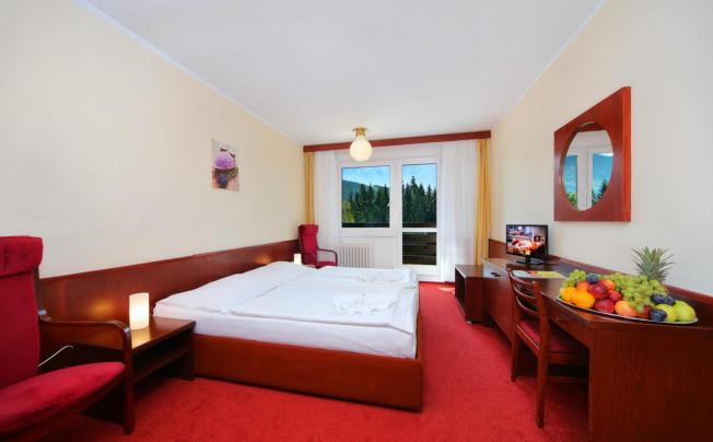 Фото отеля Svornost Wellness Hotel