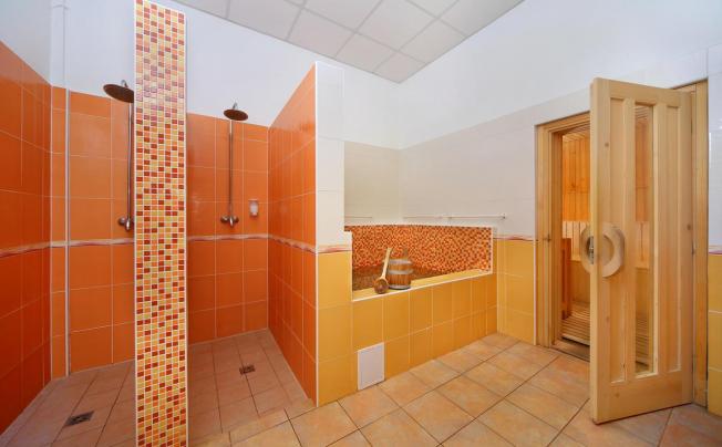Фото отеля Svornost Wellness Hotel